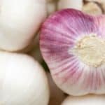 Knoblauch hilft nicht gegen Energievampire Knoblauch