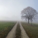 Nebel